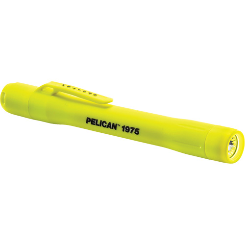 Lampe de poche, DEL, 117 lumens, Piles AAA Ontario Safety Products