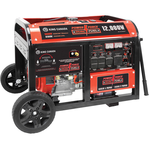 G&eacute;n&eacute;ratrice &agrave; essence/propane &agrave; d&eacute;marreur &eacute;lectrique Ontario Safety Products