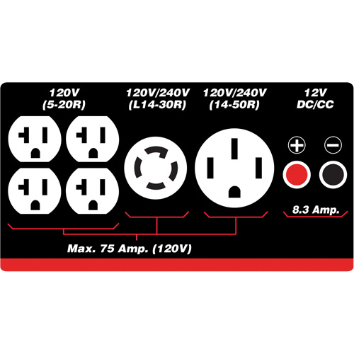 G&eacute;n&eacute;ratrice &agrave; essence/propane &agrave; d&eacute;marreur &eacute;lectrique Ontario Safety Products