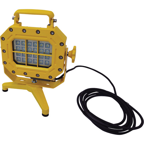Explosion Proof Floodlight with Stand, LED, 40 W, 5600 Lumens, Aluminum Housing Ontario Safety Products