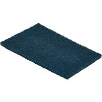Detex<sup>®</sup> Metal Detectable Scouring Pad, 8-9/10" L x 5-9/10" W AH213 | Ontario Safety Product