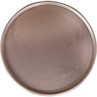 Steel Drum Lid Ontario Safety Products