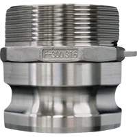 Accouplement &agrave; came et rainure, Acier inoxydable, Type F, 2-1/2", NPT m&acirc;le, 150 psi Ontario Safety Products
