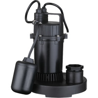 Thermoplastic Submersible Sump Pump, 2560 GPH, 115 V, 4.6 A, 1/3 HP DC843 | Ontario Safety Product