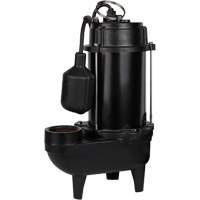 Cast Iron Effluent Pump, 4800 GPH, 120 V, 7.8 A, 1/2 HP DC846 | Ontario Safety Product
