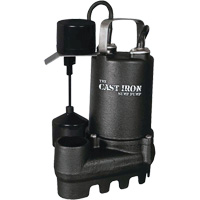 Cast Iron Submersible Sump Pump with Vertical Float Switch, 67 GPM, 33 V, 5 A, 1/3 HP DC863 | Ontario Safety Product