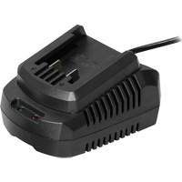 Chargeur de pile simple, 20 V Ontario Safety Products