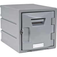 Locker, 12" x 15" x 12", Grey, Assembled Ontario Safety Products
