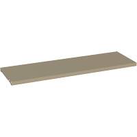 Additional Shelf for 88 Series Cabinets, 36" x 18", 150 lbs. Capacity, Steel, Beige FL803 | Ontario Safety Product