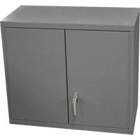 Wall-Mounted Cabinet, 27" H x 13-11/16" W x 35-7/8" D, 2 Shelves, Steel, Grey Ontario Safety Products