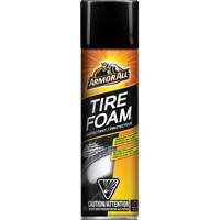 Tire Foam&reg; Protectant Ontario Safety Products