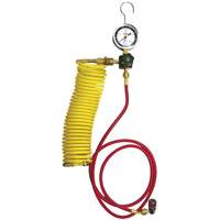 Automotive A/C Nitrogen Leak Test Kit with Regulator Ontario Safety Products