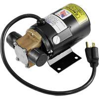 Low Profile Truck Drain with Electric Pump Ontario Safety Products