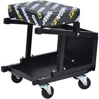 2-in-1 Seat-Stool Combo Ontario Safety Products