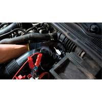 Pompette de purge de frein Brake-Pro &agrave; structure haute avec adaptateurs Ontario Safety Products
