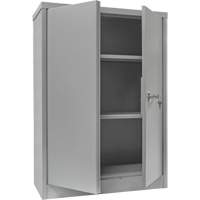Counter-High Storage Cabinet, Steel, 2 Shelves, 42" H x 30" W x 15" D, Grey Ontario Safety Products