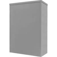Counter-High Storage Cabinet, Steel, 2 Shelves, 42" H x 30" W x 15" D, Grey Ontario Safety Products
