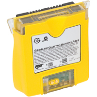 BW™ GasAlertQuattro Multi-Gas Detectors HX902 | Ontario Safety Product
