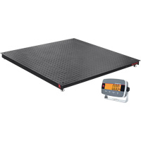 Defender™ 3000 Floor Scale, 5000 lbs. Capacity, 4" L x 4" W ID037 | Ontario Safety Product