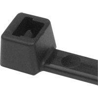 PA66 Cable Ties, 5-1/2" Long, 18 lbs. Tensile Strength, Black Ontario Safety Products
