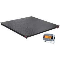 Balance de plancher DEFENDER 3000, Capacit&eacute; de 2500 lb, 48" la x 48" lo Ontario Safety Products