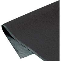 ColorStar Matting, Wiper, 3' x 5' x 3/8", Charcoal Ontario Safety Products
