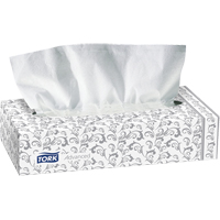 Facial Tissues, 2 Ply, 7.9" L x 8.2" W, 100 Sheets/Box JA730 | Ontario Safety Product