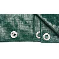 Tarp, Heavy-Duty, Green, 8' x 6' x 9 mils Ontario Safety Products