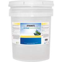Dynamite Odourless Stripper & Degreaser, 20 L, Pail JH326 | Ontario Safety Product