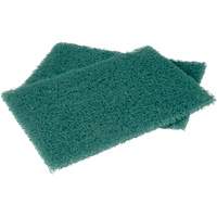Scotch-Brite Hand Pads, Scrubbing, 6" W x 9" L Ontario Safety Products