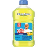 Antibacterial All-Purpose Cleaner, Bottle JL064 | Ontario Safety Product
