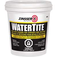 Zinsser<sup>®</sup> Watertite<sup>®</sup> Concrete Etch & Cleaner JL338 | Ontario Safety Product