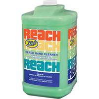 Reach Extra Heavy-Duty Hand Cleaner, Pumice, 3.78 L, Jug, Scented JL659 | Ontario Safety Product