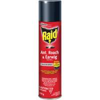 Raid<sup>®</sup> Ant, Roach & Earwig Insect Killer, 350 g, Solvent Base JL960 | Ontario Safety Product