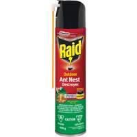 Raid<sup>®</sup> Outdoor Ant Nest Destroyer Insecticide, 400 g, Aerosol Can JM262 | Ontario Safety Product