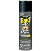 Raid<sup>®</sup> Max<sup>®</sup> Spider Blaster Bug Killer Insecticide, 500 g, Aerosol Can, Solvent Base JM270 | Ontario Safety Product