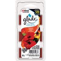 Cubes de cire parfum&eacute;e Glade, Brise exotique Ontario Safety Products