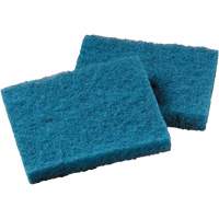 Non-Stick Cookware Cleaning Pad, Scrubbing, 5-1/4" W x 4" L Ontario Safety Products