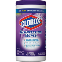 Disinfecting Wipes, 75 Count JO235 | Ontario Safety Product