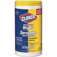 Disinfecting Wipes, 75 Count JO242 | Ontario Safety Product