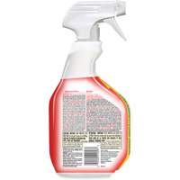 Nettoyant d&eacute;sinfectant contre les taches et odeurs biologiques, 946 ml, Bouteille &agrave; g&acirc;chette Ontario Safety Products