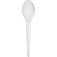 Plantware™ Renewable and Compostable Spoon JP767 | Ontario Safety Product
