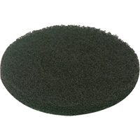 Floor Pad, Scrubbing, Green Ontario Safety Products