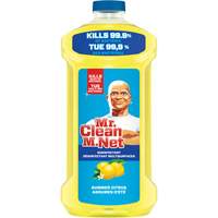 Multi Surface Cleaner with Lemon Scent, Bottle JQ324 | Ontario Safety Product