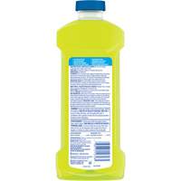Multi Surface Cleaner with Lemon Scent, Bottle JQ324 | Ontario Safety Product