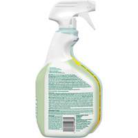 CloroxPro Clorox EcoClean Disinfecting Cleaner, 946 ml, Trigger Bottle Ontario Safety Products