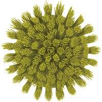 Brosse ronde HyDrive pour perceuse, Soies Tr&egrave;s ferme, Longueur de 3-1/10", Jaune Ontario Safety Products