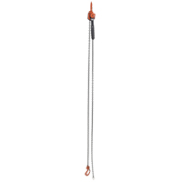 Mini palan &agrave; levier, Lev&eacute;e 10', Cabacit&eacute; 1000 lb (0,5 tonne), Chaîne en Acier Ontario Safety Products
