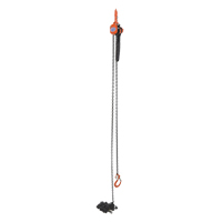 Mini palan &agrave; levier, Lev&eacute;e 15', Cabacit&eacute; 1000 lb (0,5 tonne), Chaîne en Acier Ontario Safety Products