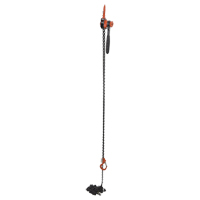 Mini palan &agrave; levier, Lev&eacute;e 20', Cabacit&eacute; 1000 lb (0,5 tonne), Chaîne en Acier Ontario Safety Products